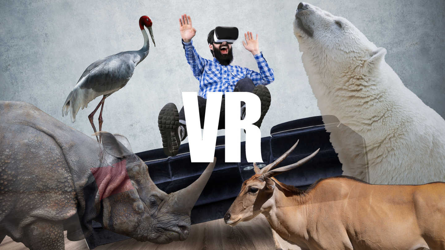 Read more about the article Can digital actuality save animals in captivity_